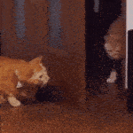 R R